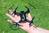 Aerix Black Talon 2.0 - Micro FPV Beginner Racing Drone
